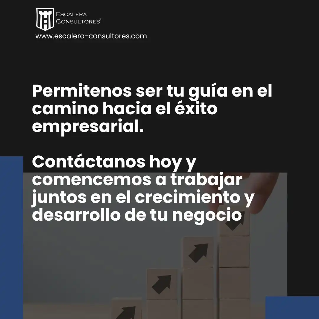 Escalera Consultores3